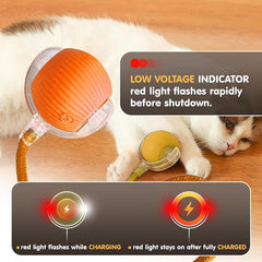 Rolling Ball Toy - Sale🏷️