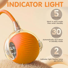 Rolling Ball Toy - Sale🏷️