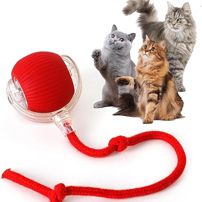 Rolling Ball Toy - Sale🏷️