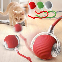 Rolling Ball Toy - Sale🏷️